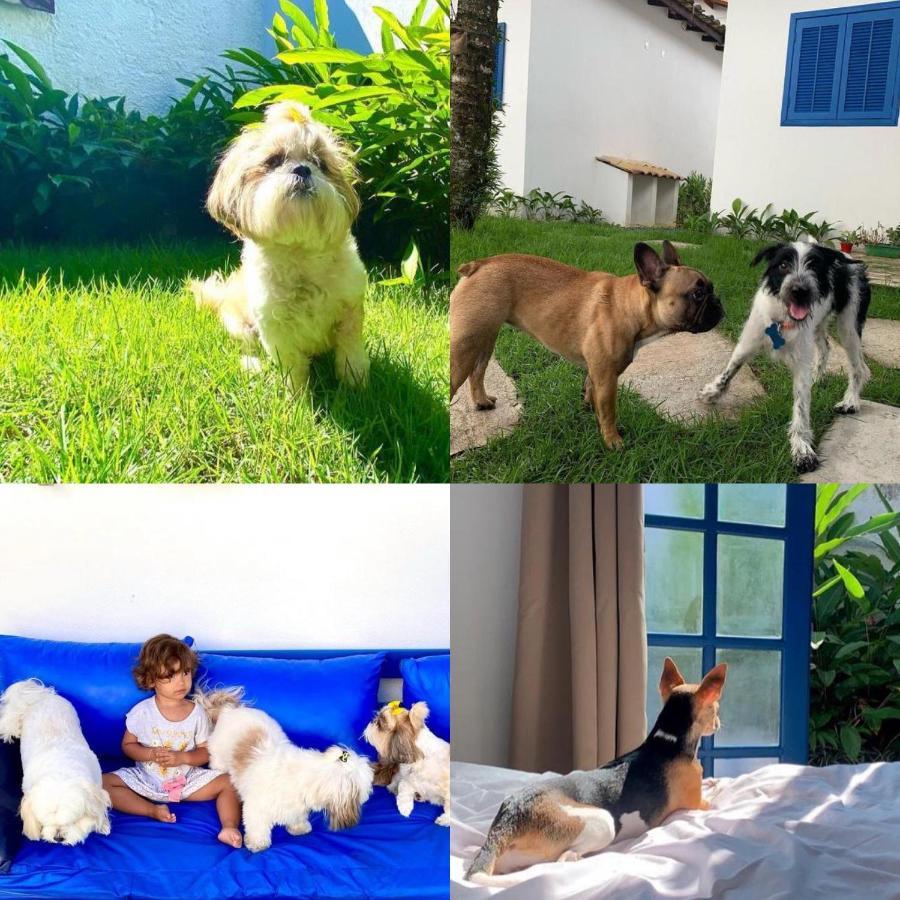 Suites Curta Paraty, Familia E Pets Ngoại thất bức ảnh